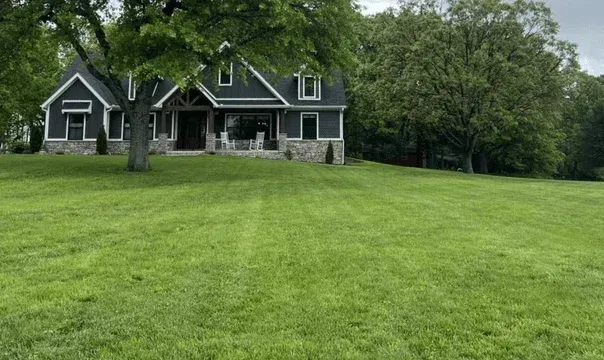 brush cutting in springfield mo