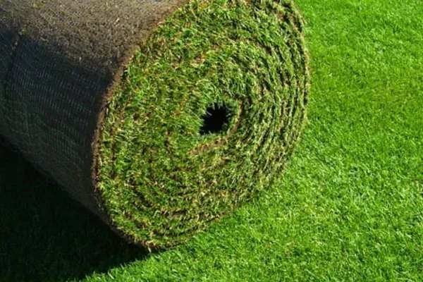 landscaping in lebanon mo
