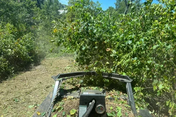 efficient land clearing in ozark mo