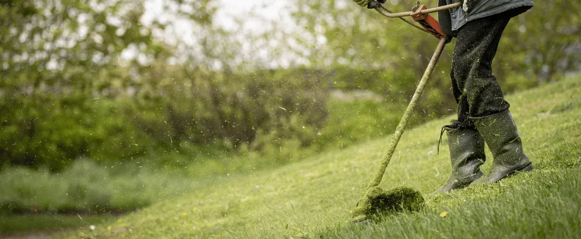 how to grow grass on a slope missouri