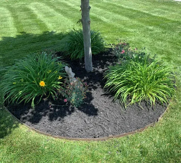 mulch installation experts in springfield mo