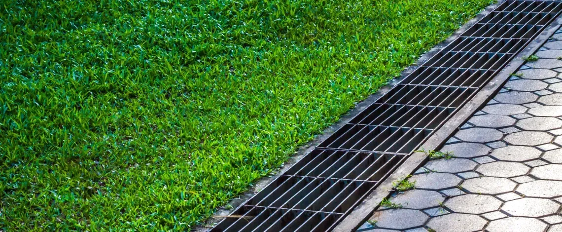 How Poor Drainage Can Destroy a Healthy Lawn (And the Hidden Costs of Ignoring It)