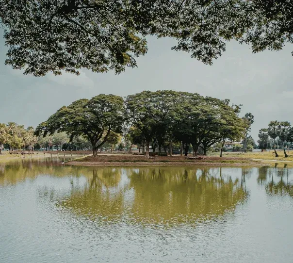 settlement pond contractors in springfield mo