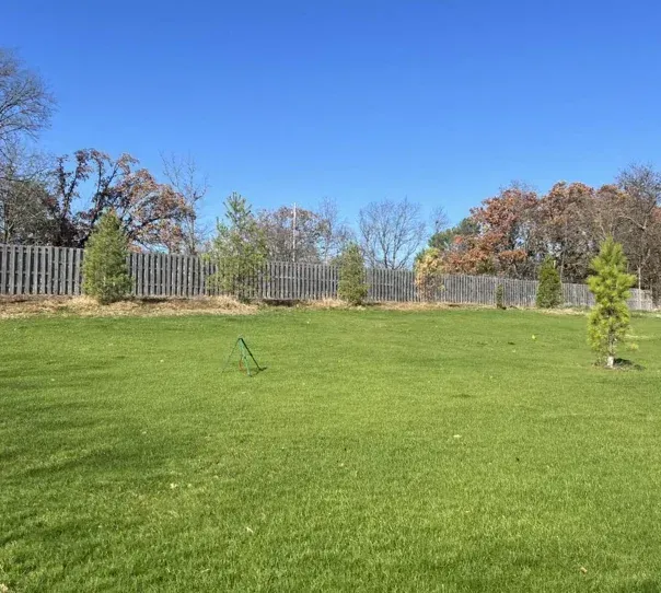 signs you need landscape clean up