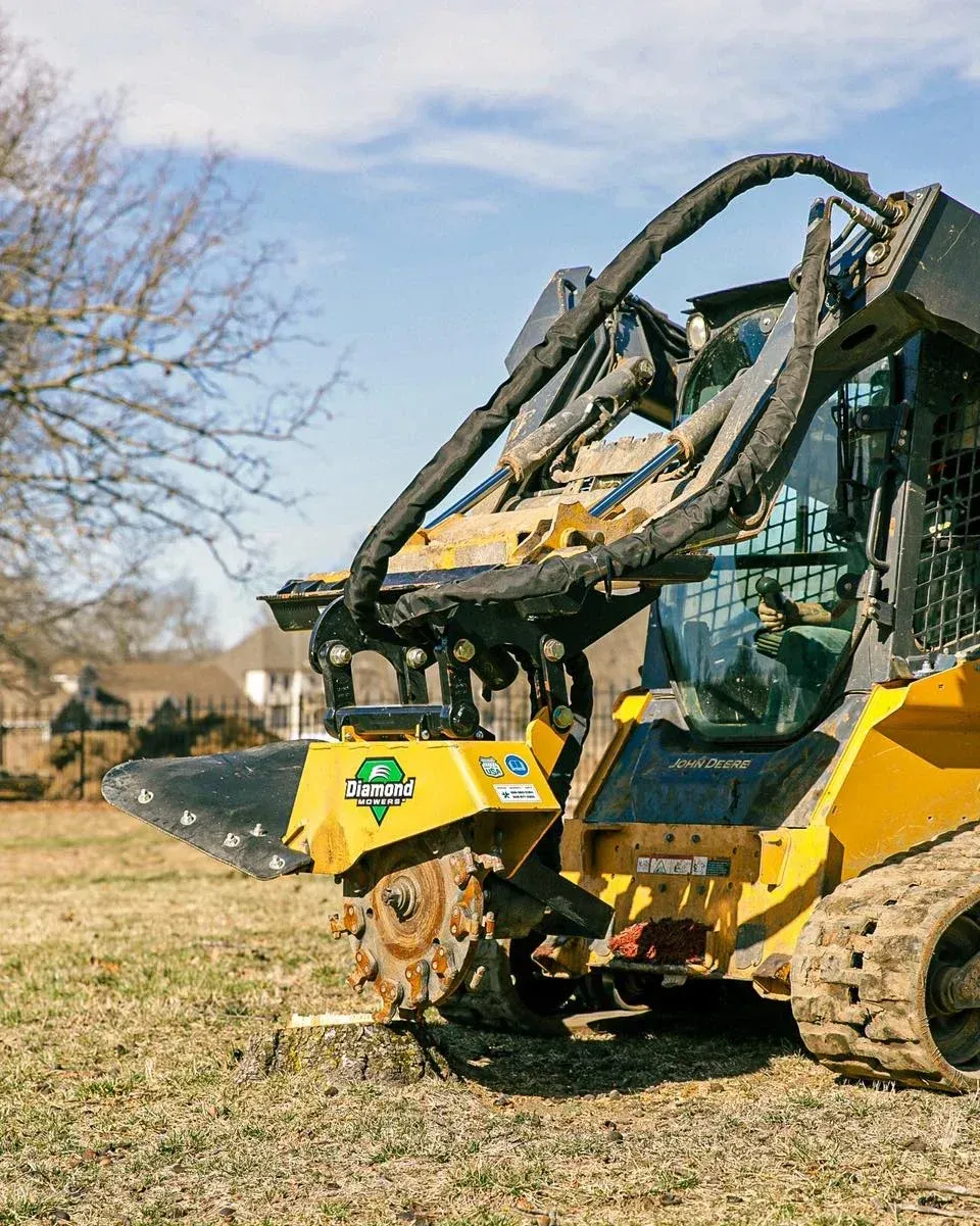 signs you need stump removal springfield mo