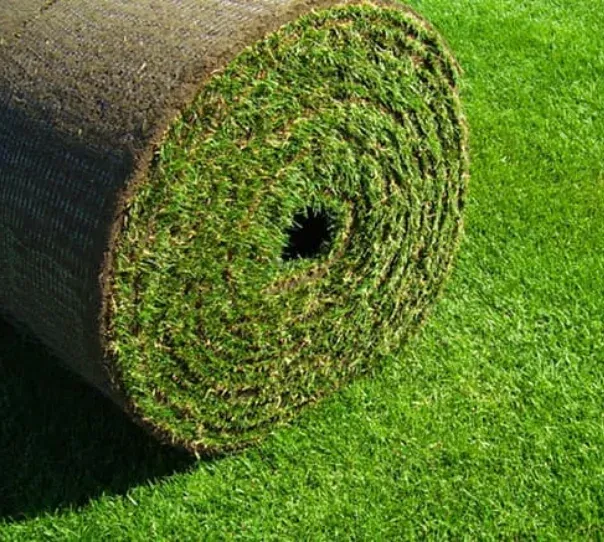 sod vs hydroseeding in springfield mo