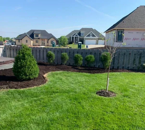 tree planting contractors springfield mo