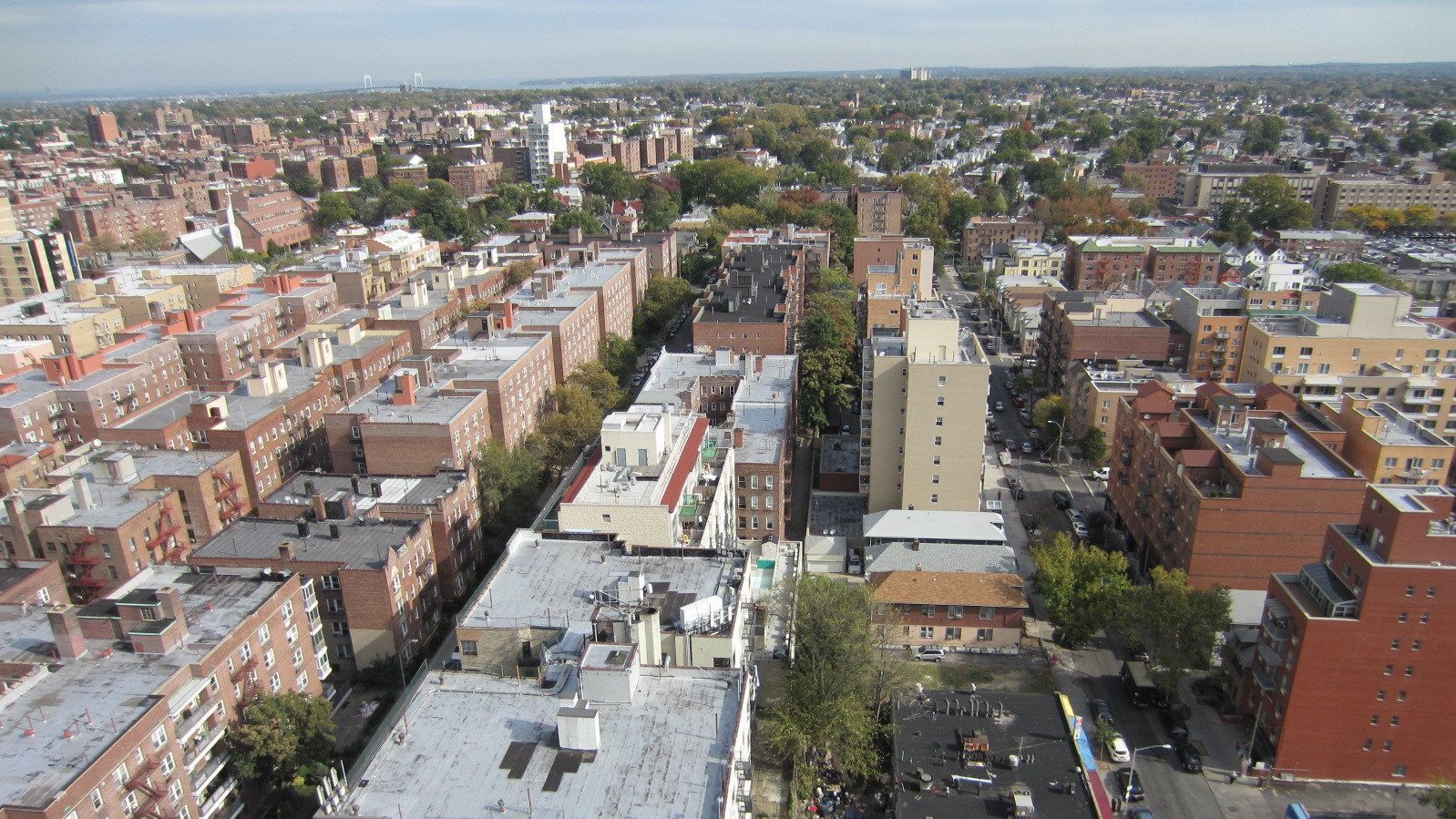 Black Owned Businesses & Black Entrepreneurs in Queens NY