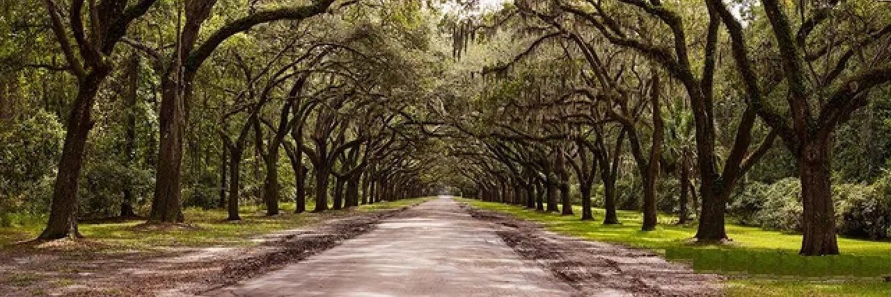 Black Owned Businesses & Black Entrepreneurs in Savannah GA
