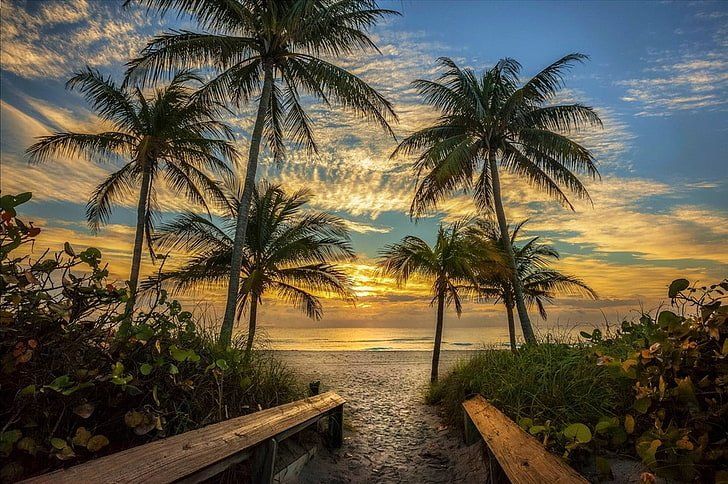 Florida USA Black Owned Businesses