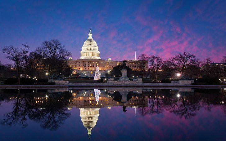 Black Owned Businesses & Black Entrepreneurs in Washington DC