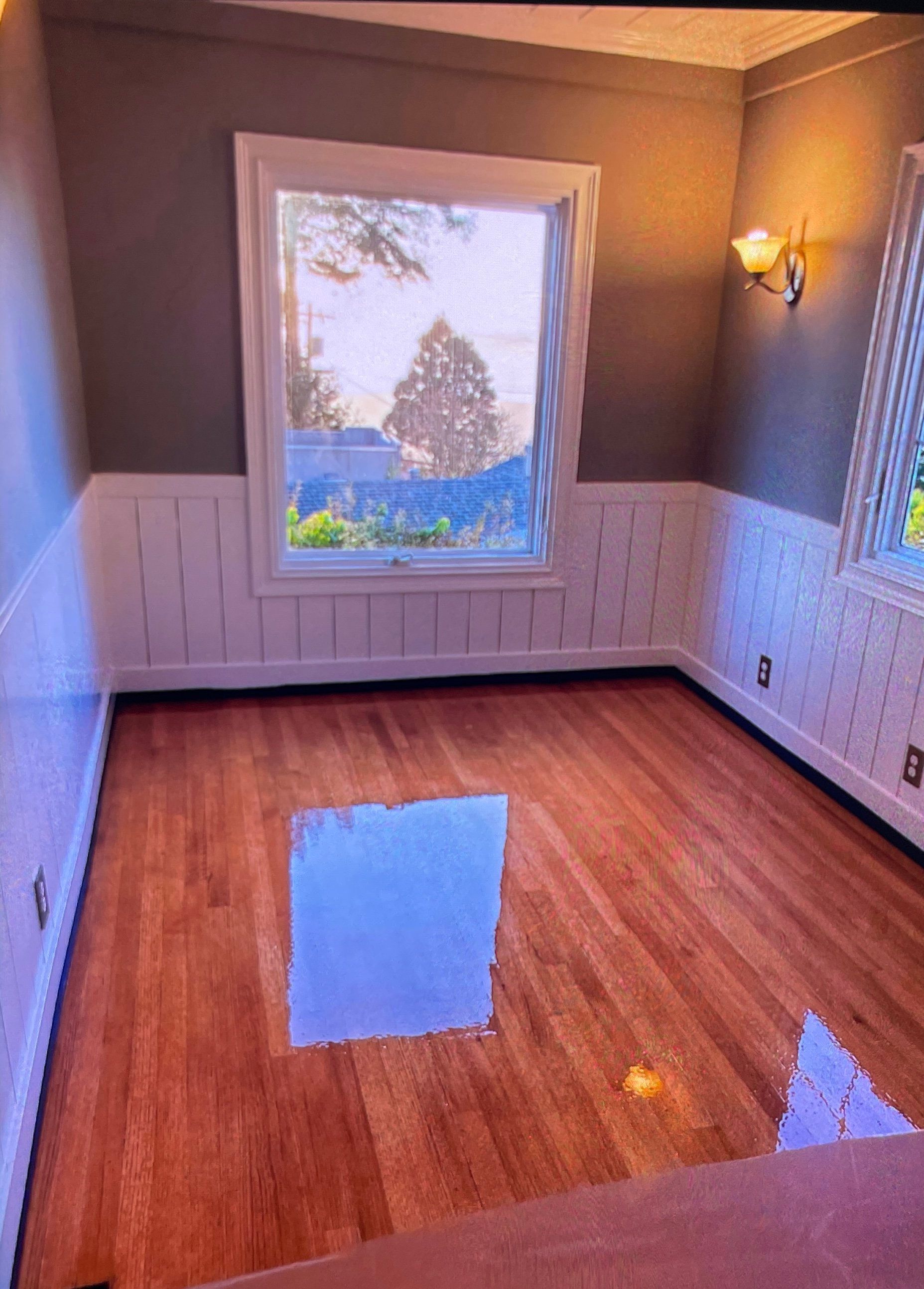 Empty room with hardwood floors, white wainscoting, gray walls, and two windows overlooking greenery.
