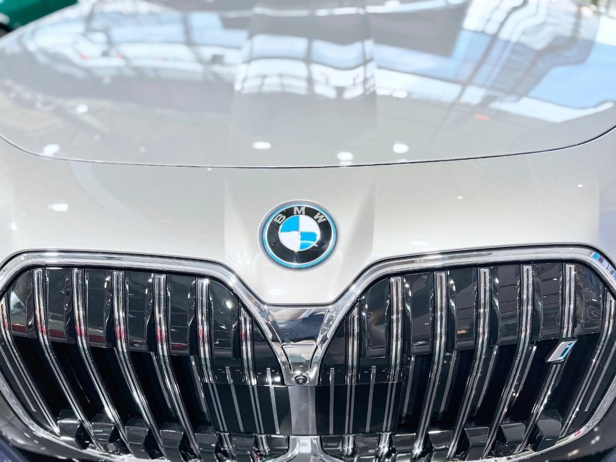 Close-up of a silver BMW front grille with the round blue-and-white logo centered above it