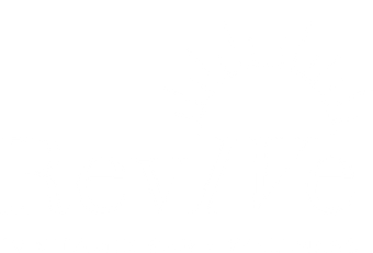 Revive IV Vitamin Bar + Wellness