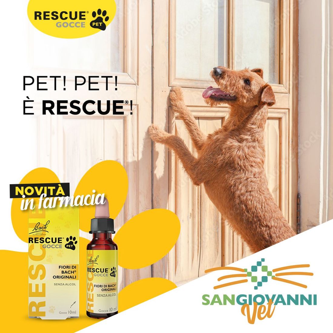 farmaci veterinari
