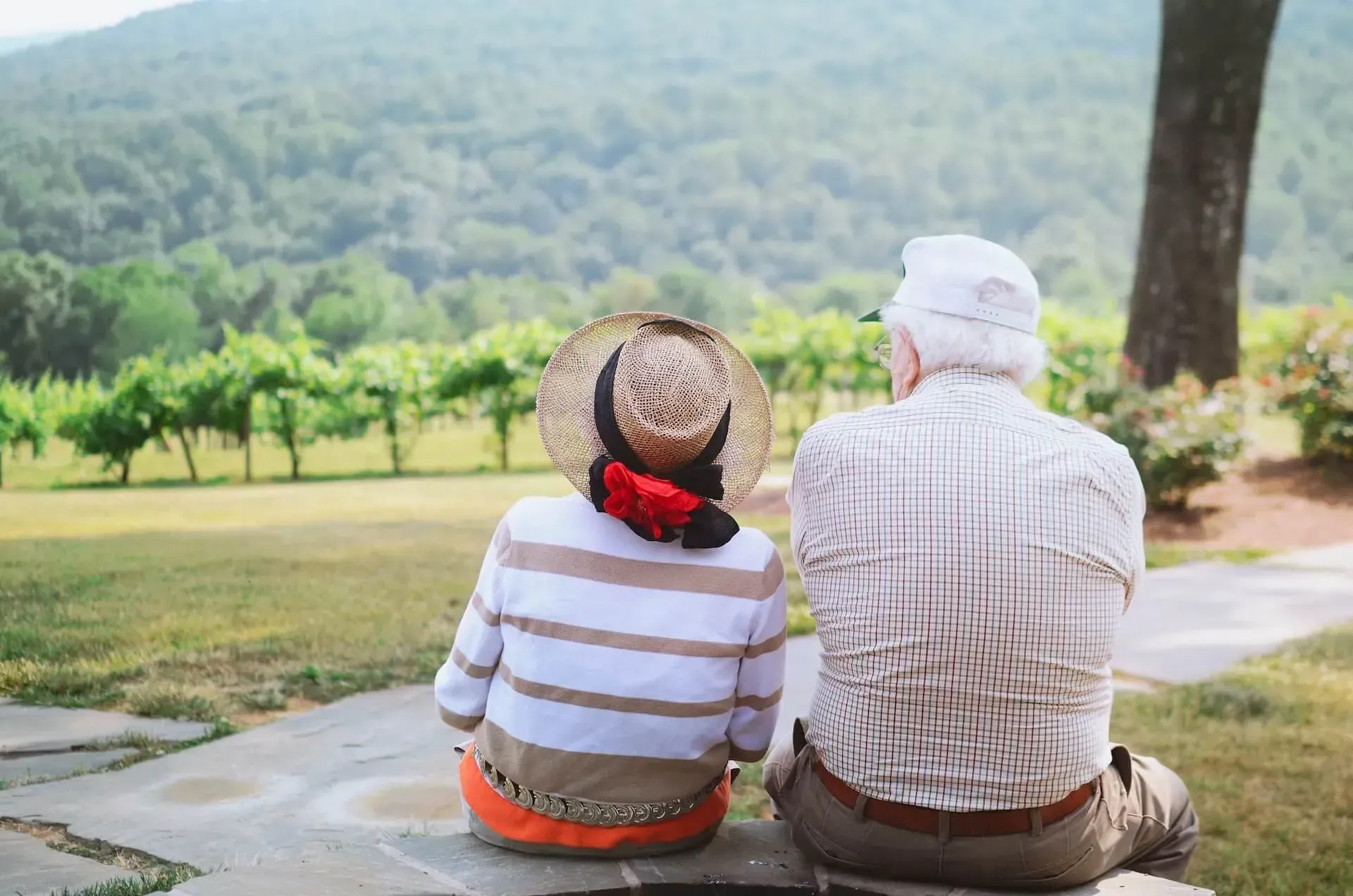 Two people sit on a bench overlooking a green, forested landscape.