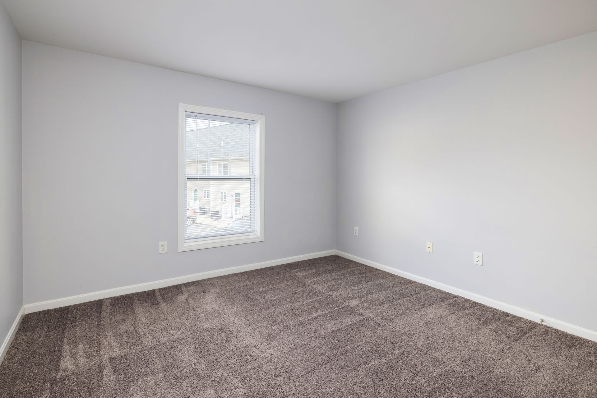 Empty gray bedroom with carpet and a single window