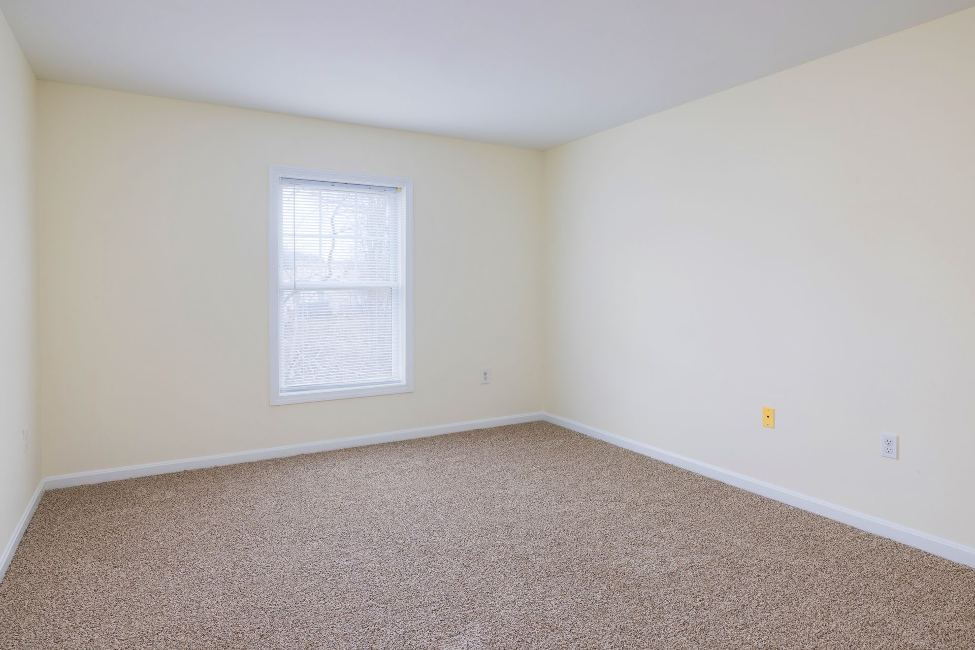 Empty beige bedroom with carpet, white walls, and a single window with blinds