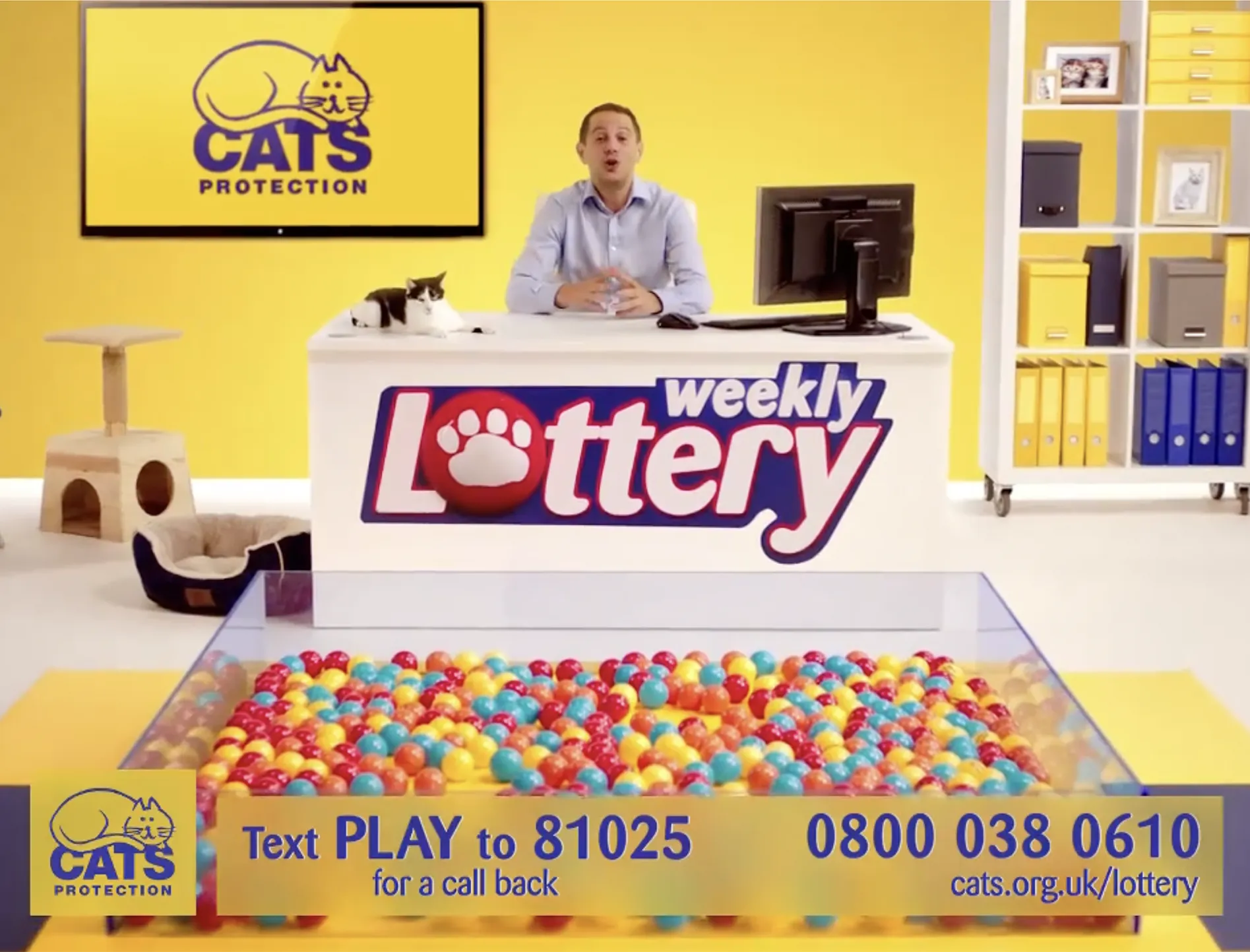 Man behind a weekly Lottery desk in a bright yellow Cats Protection studio, with a kitten and donation text.