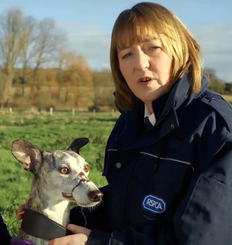 RSPCA CLOVER campaign