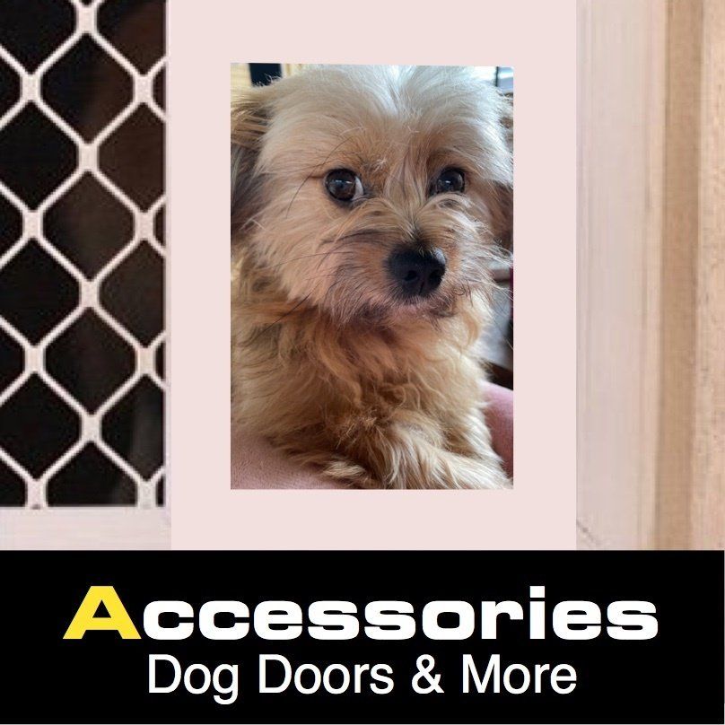 Pepé | Bonds Security Products Pepé | Bonds Security Products