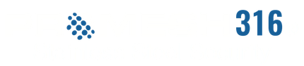 PROMESH316