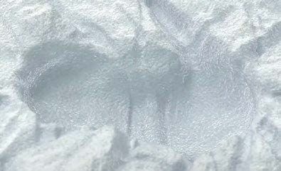 A close up of a footprint in the snow.