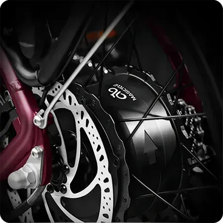 Close-up of a black and maroon bicycle wheel with disc brake and hub motor
