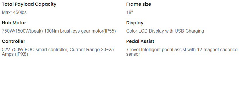 Technical specs table for an e-bike: total payload, frame size, hub motor, controller, display, and pedal assist.