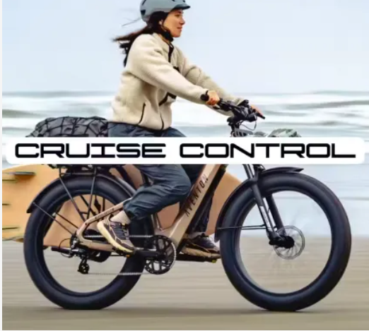 Woman riding a black cargo bike on a beach with “CRUISE CONTROL” text overlay