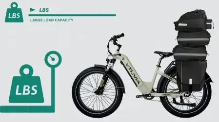 E-bike with rear cargo racks and “LBS” logo, labeled “Load Capacity” on a white background.