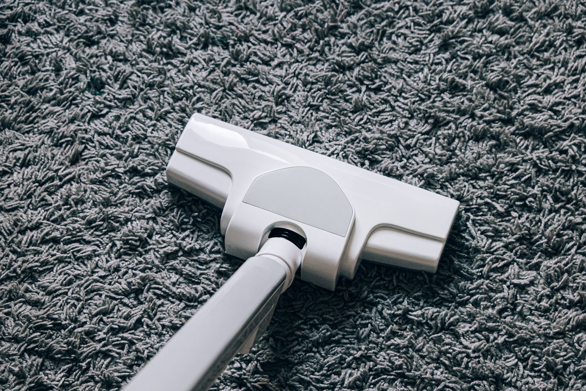 White vacuum cleaner head on gray shag carpet.