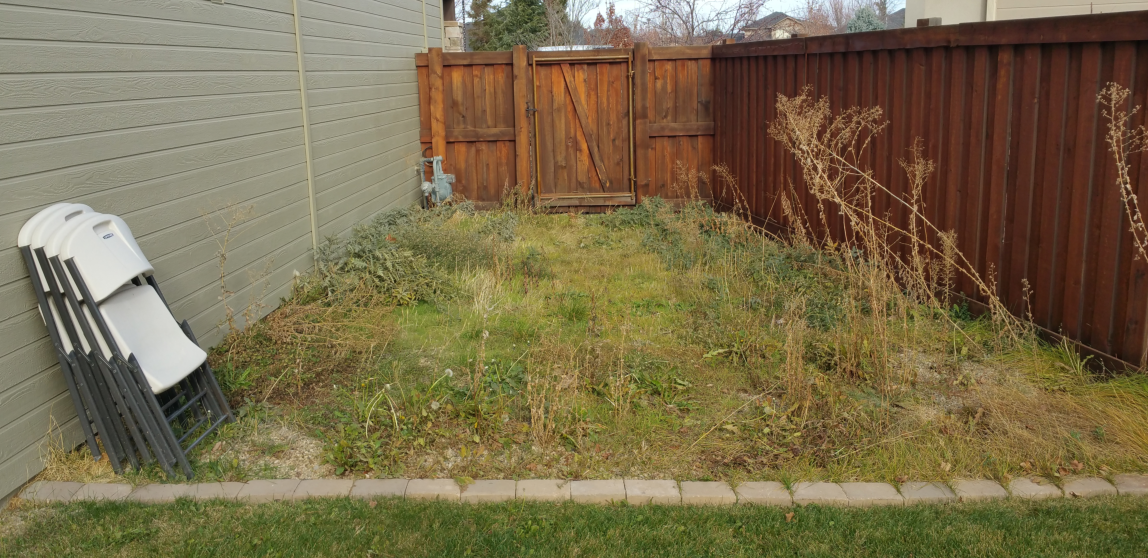 A backyard with a wooden fence and a pile of grass.