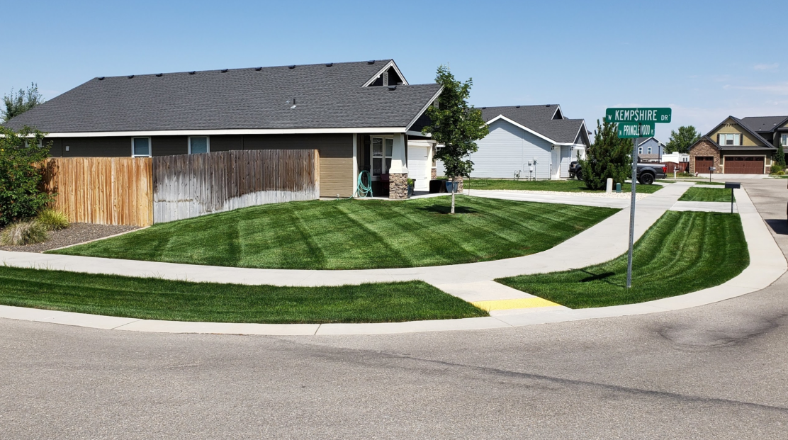 A house in a residential area with a lush green lawn