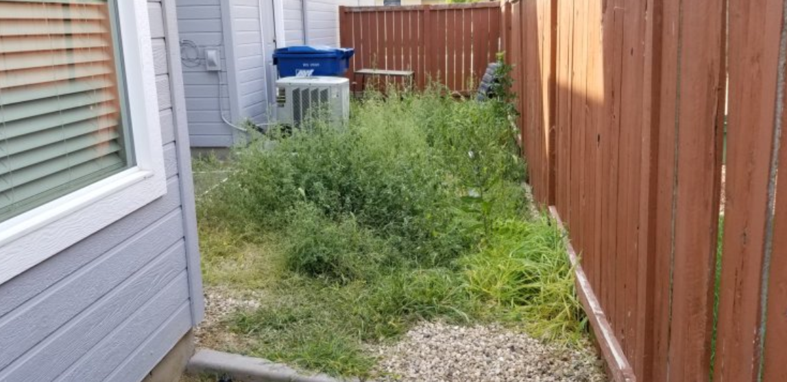A fence with a lot of weeds growing on it next to a house.