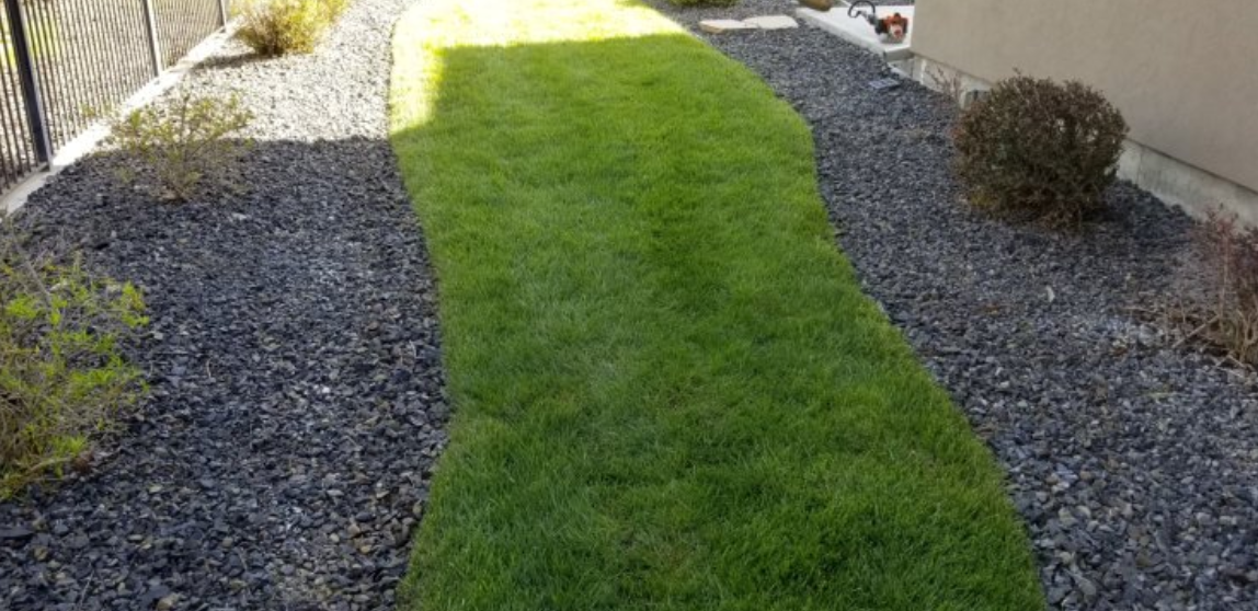 A path leading to a house with a lot of grass and gravel.