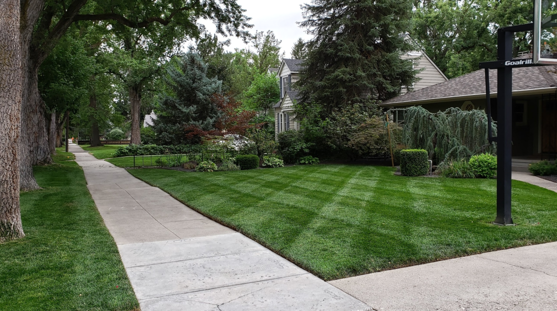 A sidewalk leading to a house with a lush green lawn.