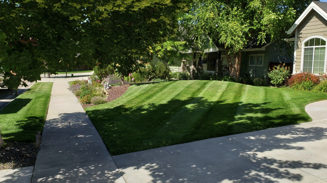 A house with a lush green lawn and a sidewalk in front of it.