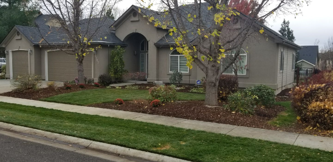 A house with a lush green lawn and a tree in front of it.