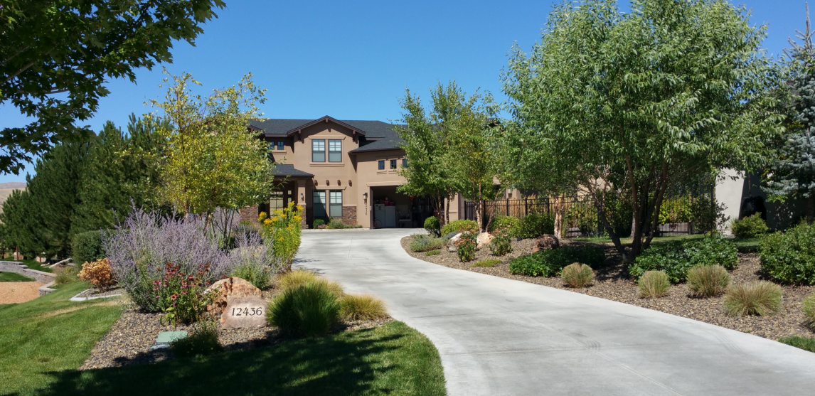 A large house with a driveway leading to it is surrounded by trees and bushes.
