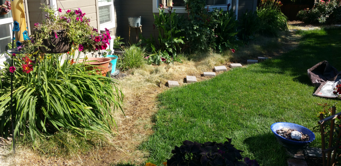 A dog is sitting in the grass in front of a house.