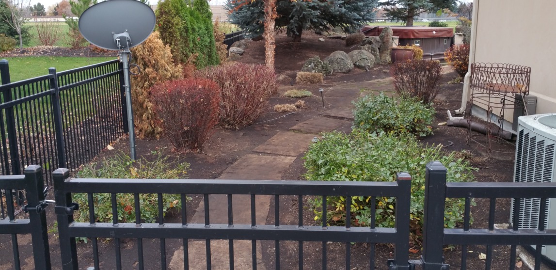 A black fence surrounds a garden with a satellite dish in the background.