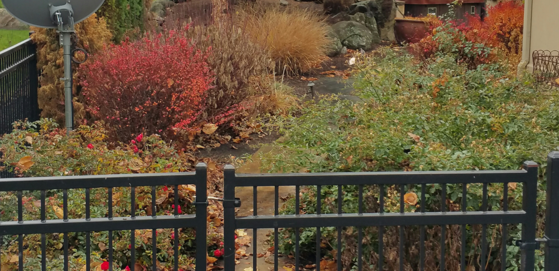 A black fence surrounds a garden with a satellite dish in the background.