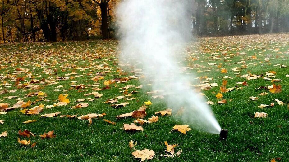 A sprinkler is spraying water on a lush green lawn covered in leaves.