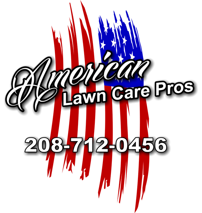 American Lawn Care Pros