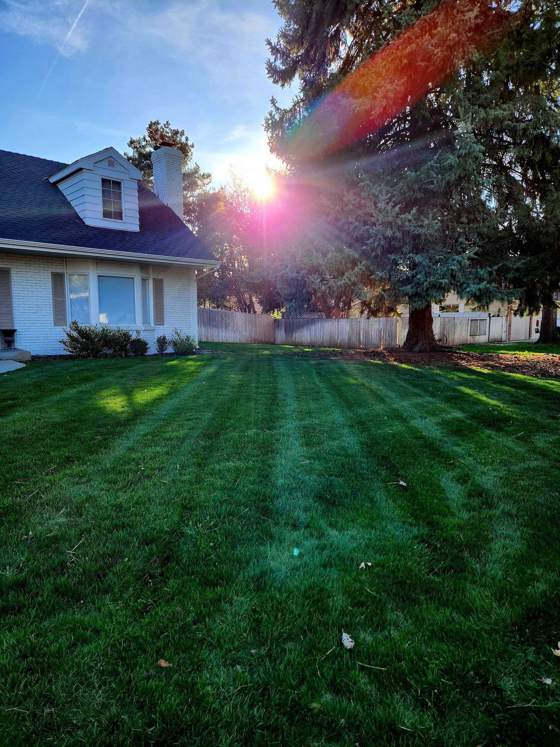Weed Control