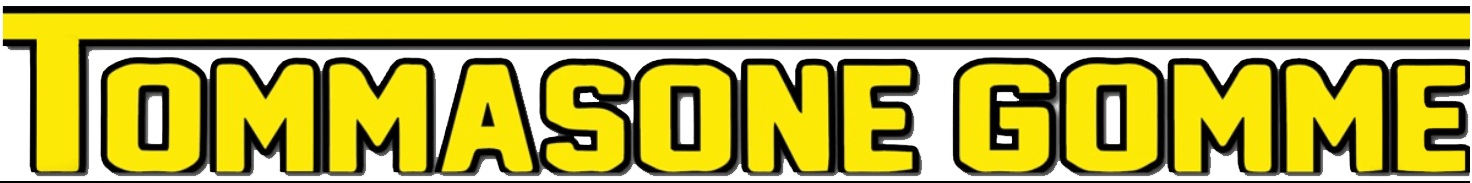 Logo Tommasone Gomme