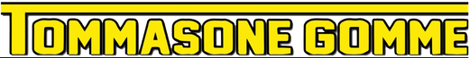 Logo Tommasone Gomme