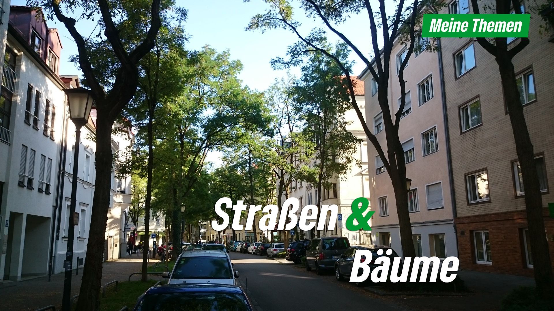 Frundsbergstraße mit Bäumen und Text Straßen und Bäume