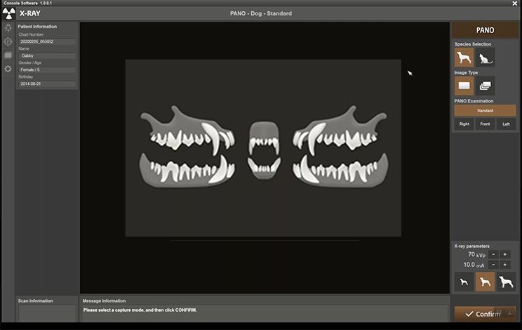A computer screen shows a picture of a dog 's teeth